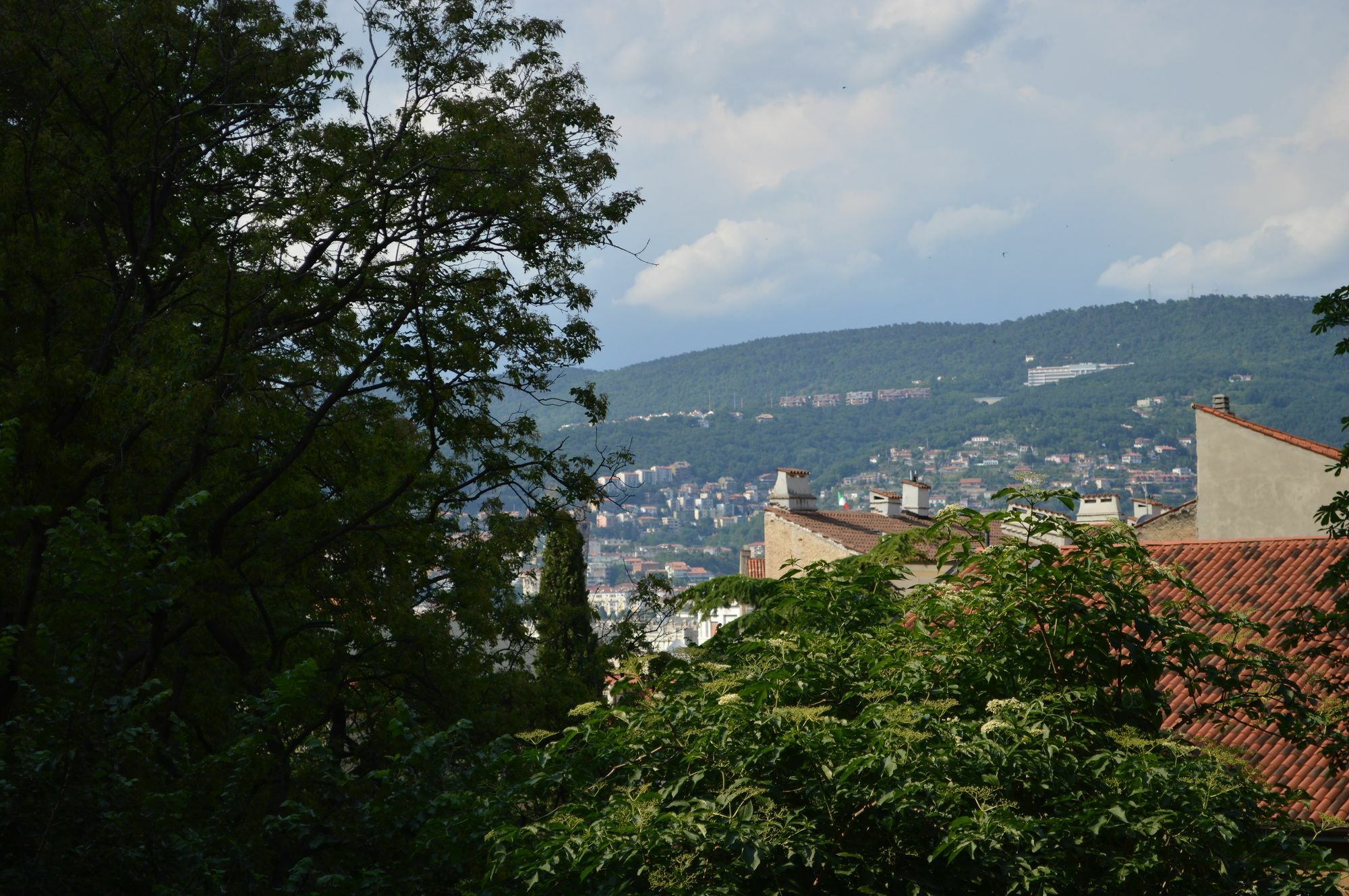 Casa Vacanze All'Angolo Trieste Eksteriør bilde